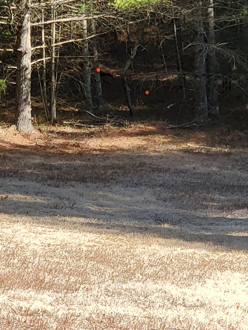 1584913359_17836922485e77dbcff35f36.50578931.jpg