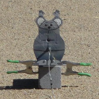 1585115044_4756834875e7aefa4af82d7.55598578.jpg