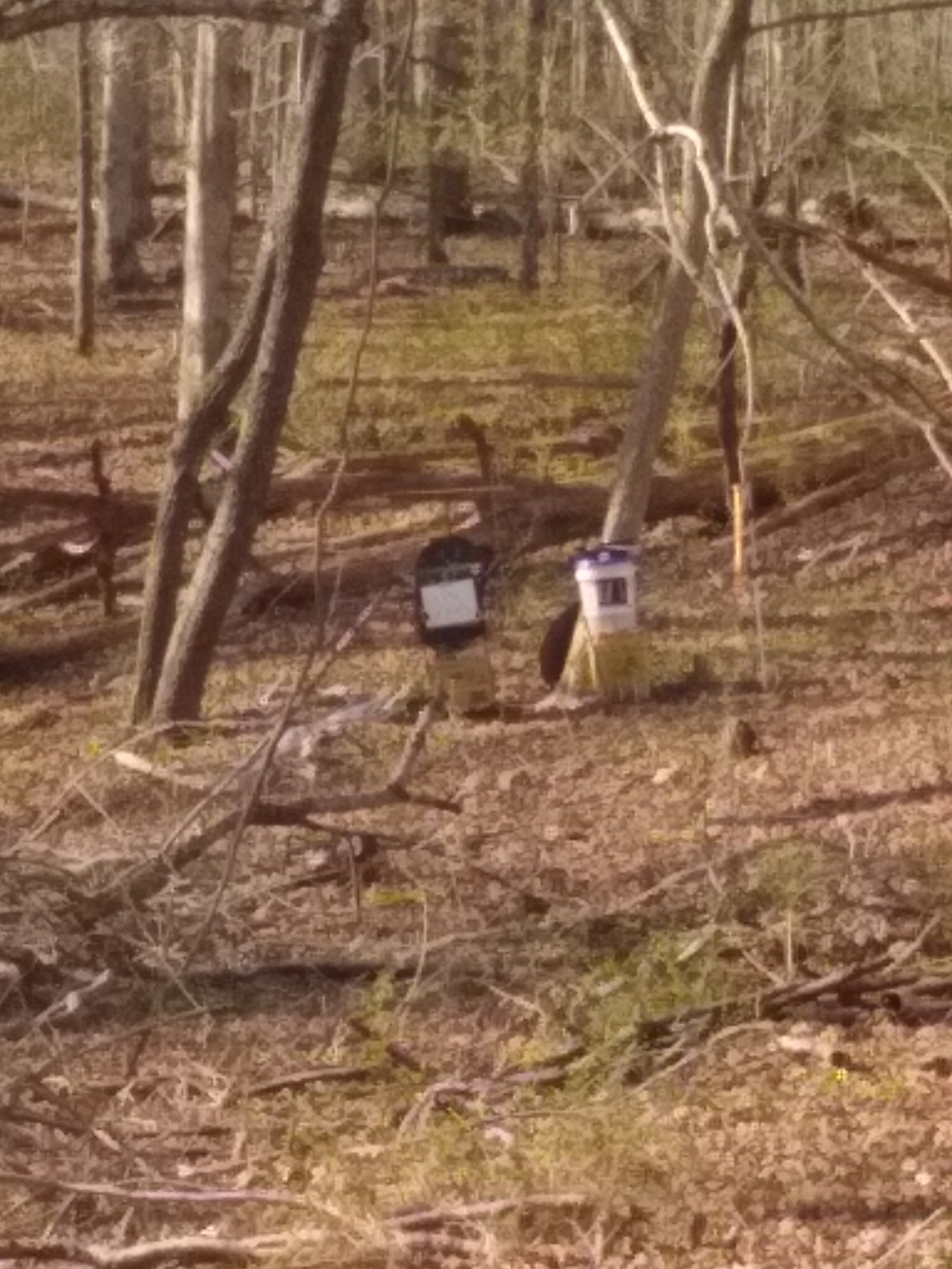 1585271566_11400319705e7d530e7a24d8.51169495.jpg