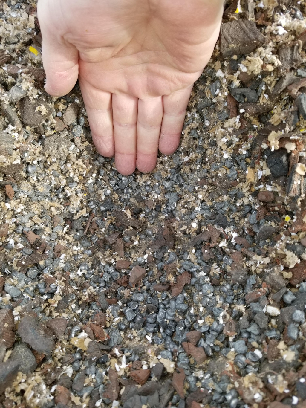 1585923487_9440683335e87459f2ec3a6.02980285.jpg