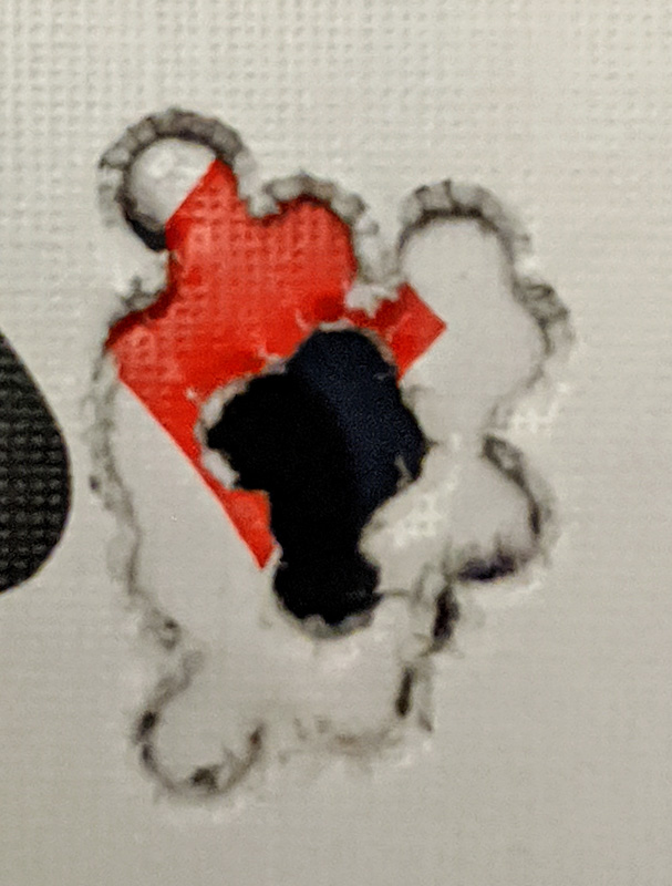 1586140785_13380617015e8a96718e62d8.76898742.jpg