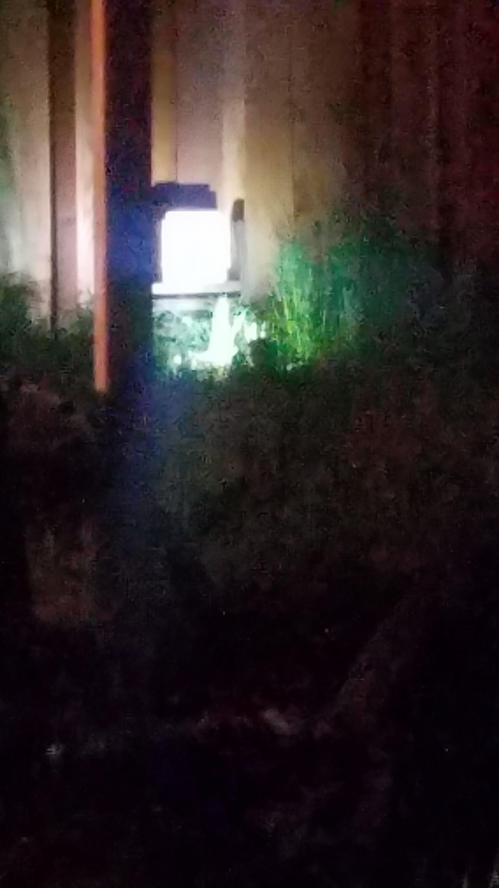 1586235339_11597642945e8c07cb173e92.71535397.jpg