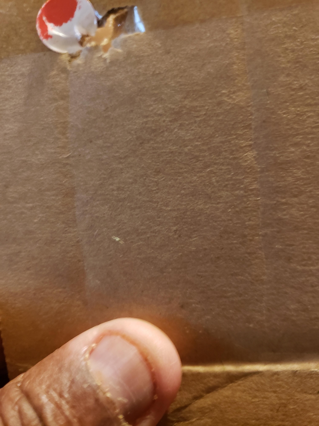 1586394845_67664625e8e76dd117bf2.78782773.jpg
