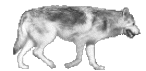 1586523290_168477885e906c9a630f30.22963181.gif