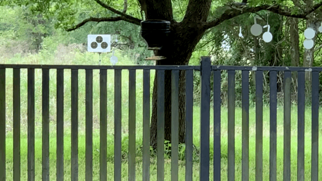 1586665985_2299576795e929a0180f0d9.71393518.gif