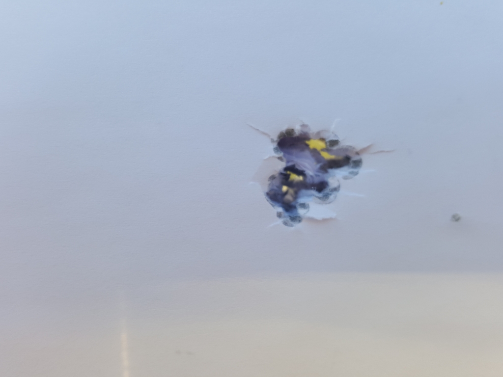 1586792580_11315961485e948884770f37.17819644.jpg