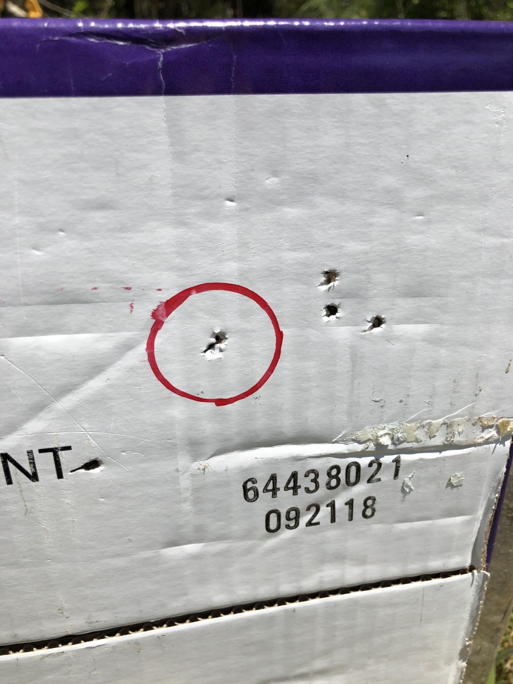 1587422244_19531876005e9e242488efe7.27890238.jpeg