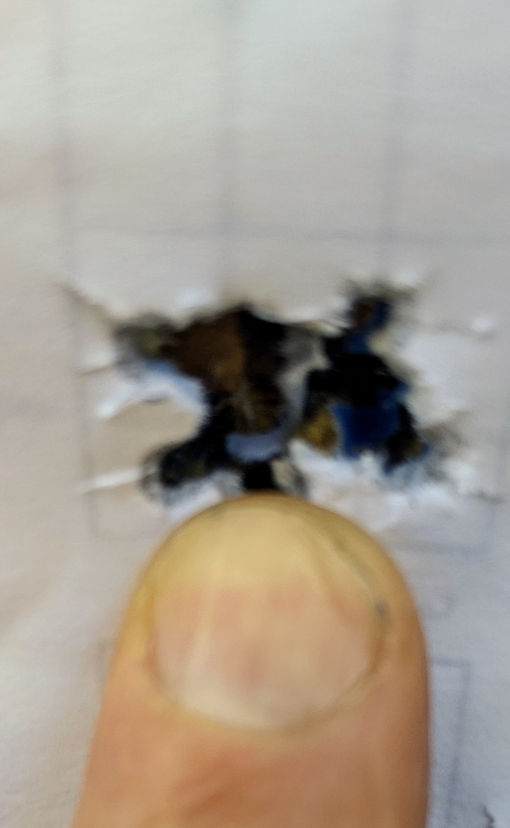 1587428984_3603787605e9e3e78731fa6.63146532.jpg