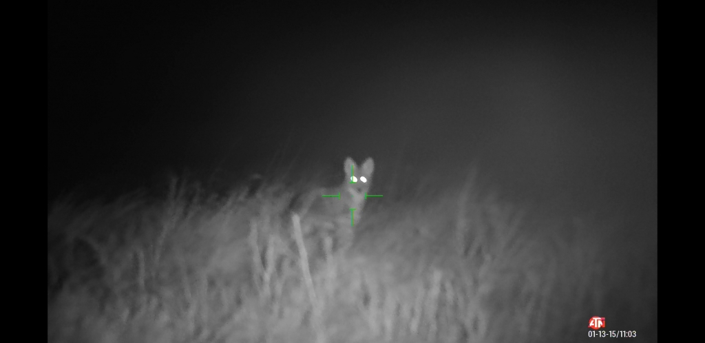 1587570981_11181371955ea0692598fa78.55335994.jpg