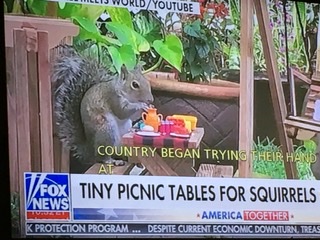 1587955544_17545613295ea64758279ef9.18476515.jpeg