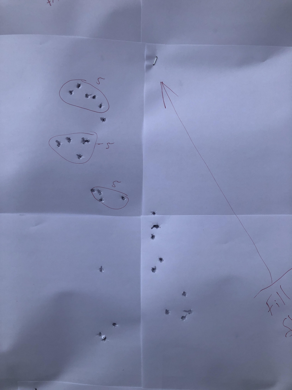 1588128797_15741034375ea8ec1d7ad125.74340007.jpeg