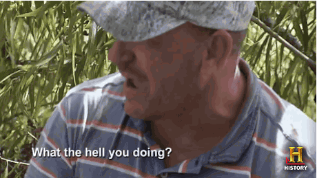 1588559636_19926807335eaf7f14ad03b1.30981767.gif