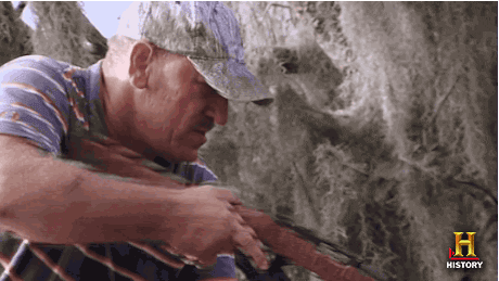 1588563956_17176043265eaf8ff457a794.91368706.gif