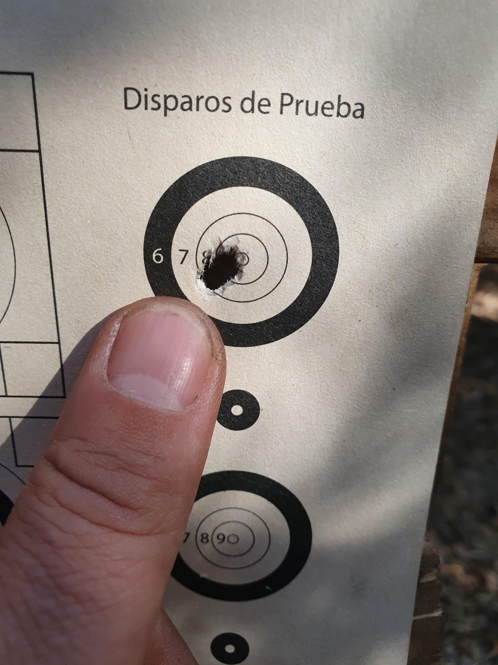 1590761950_10829455225ed119de739f76.24421316.jpg