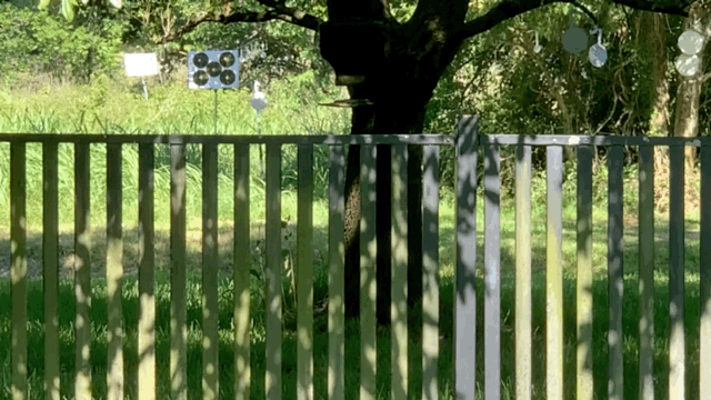 1592005895_14884398545ee4150727d994.81614608.gif