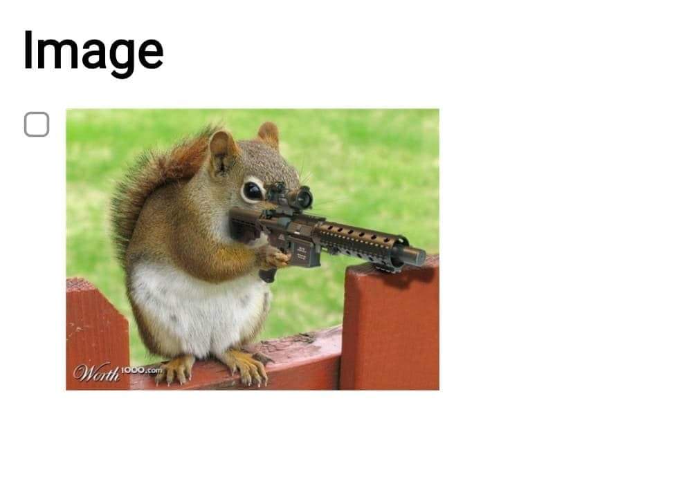 1593563519_17801566315efbd97fc96da8.77278102.jpeg