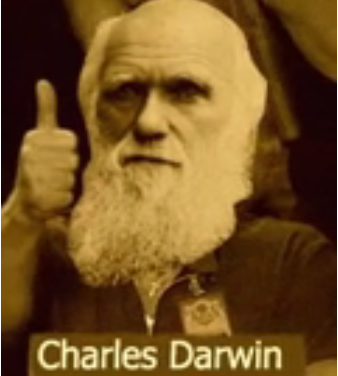 1594326106_3618036485f077c5a988d06.96094845.png