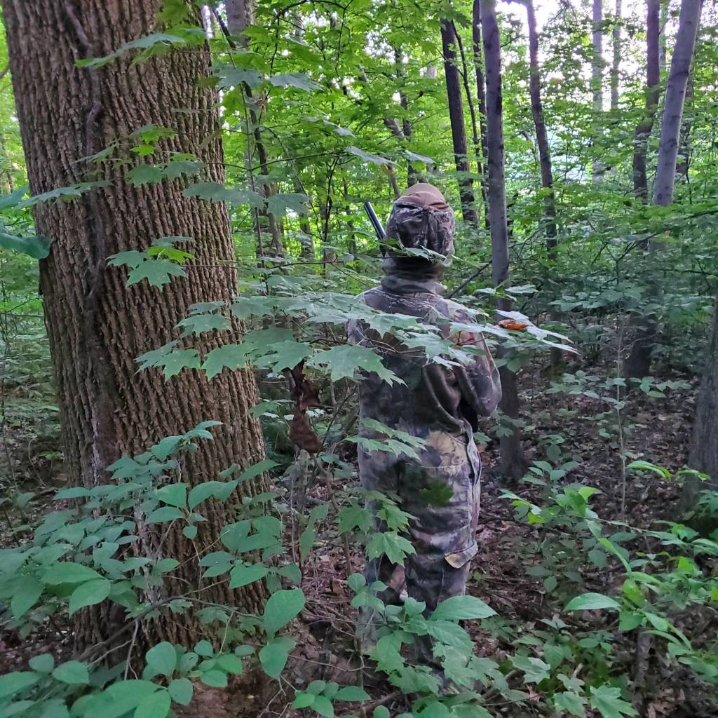 1595246747_4737300145f15889bdc77c3.35128955.jpg