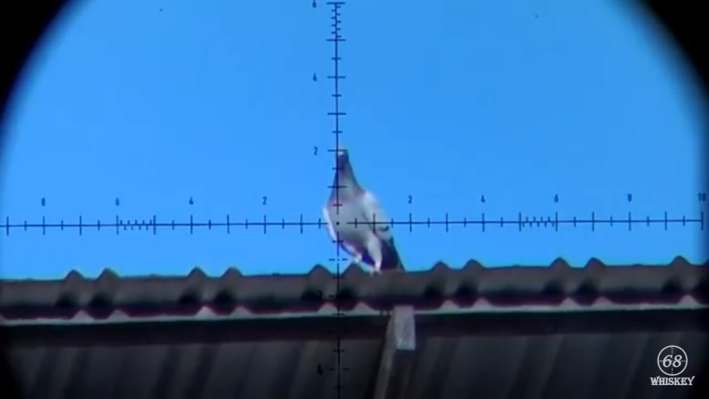 1595267547_19694272505f15d9dbb4b1f4.46997866.png
