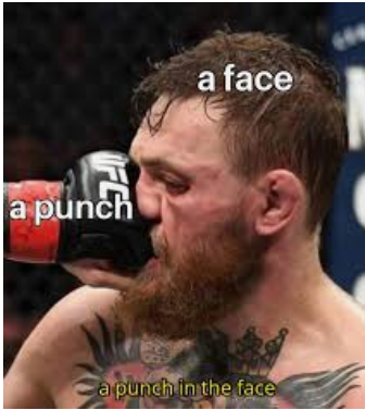 1595486831_19004034335f19326f507fc3.80511352.png