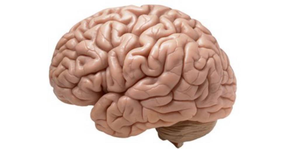 1595506853_6042440475f1980a5e99e05.98510765.jpg
