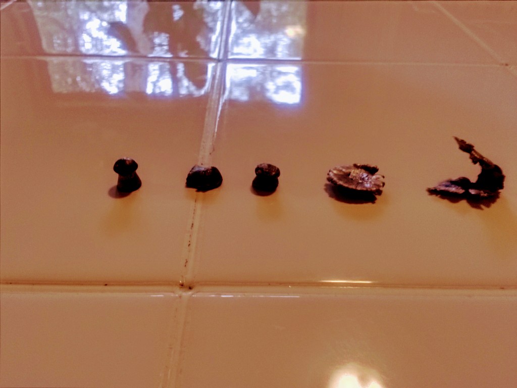 1596073701_9102846225f2226e50e9f31.43267327.jpg