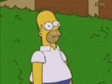 1596512248_15259501845f28d7f82e2b62.55494106.gif