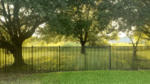 1596922268_18700572535f2f199c4e8338.20543951.gif
