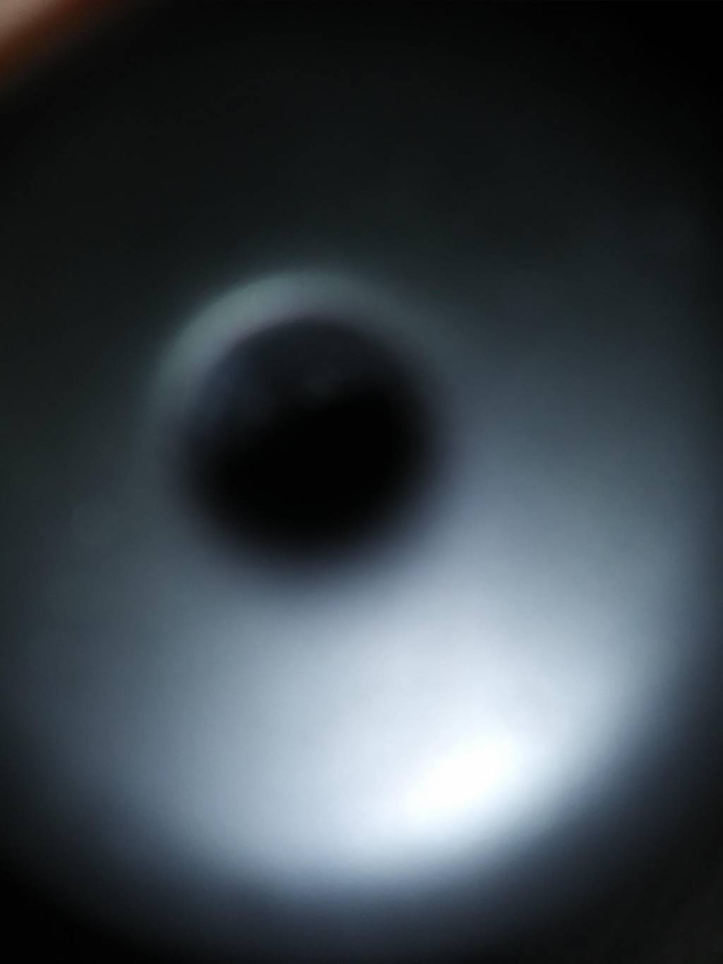 1597105308_19520121275f31e49c39d7d4.55229925.jpg