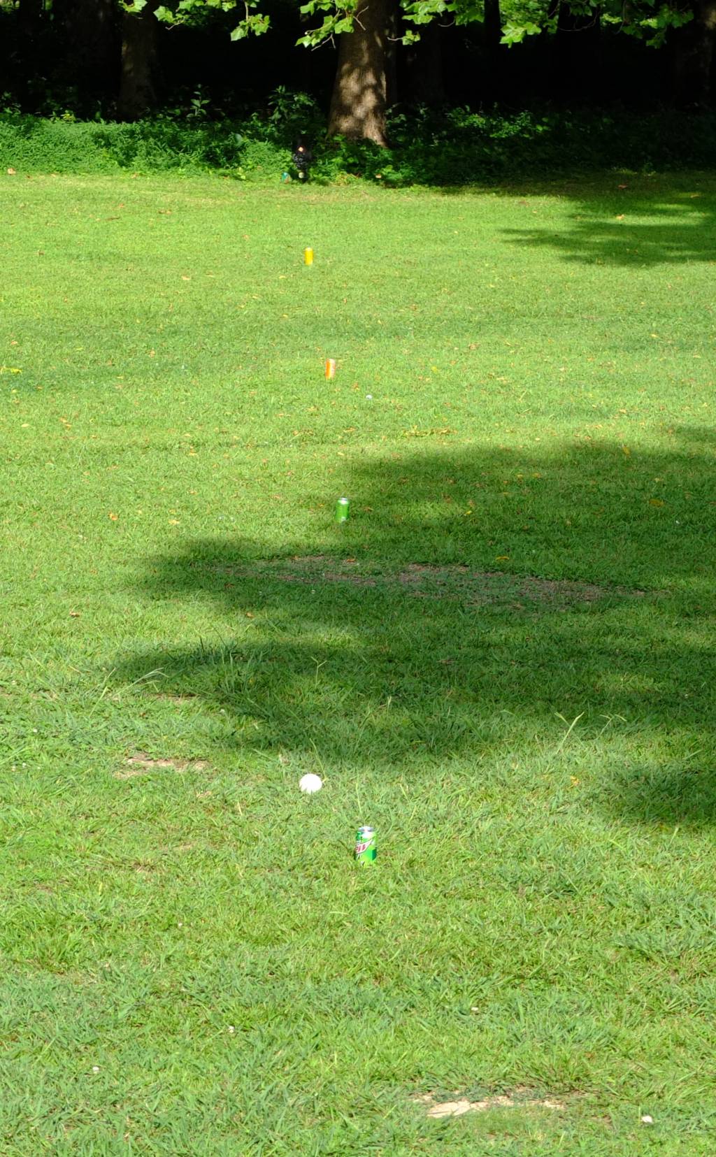 1597111767_16621375655f31fdd724db90.12100727.jpg