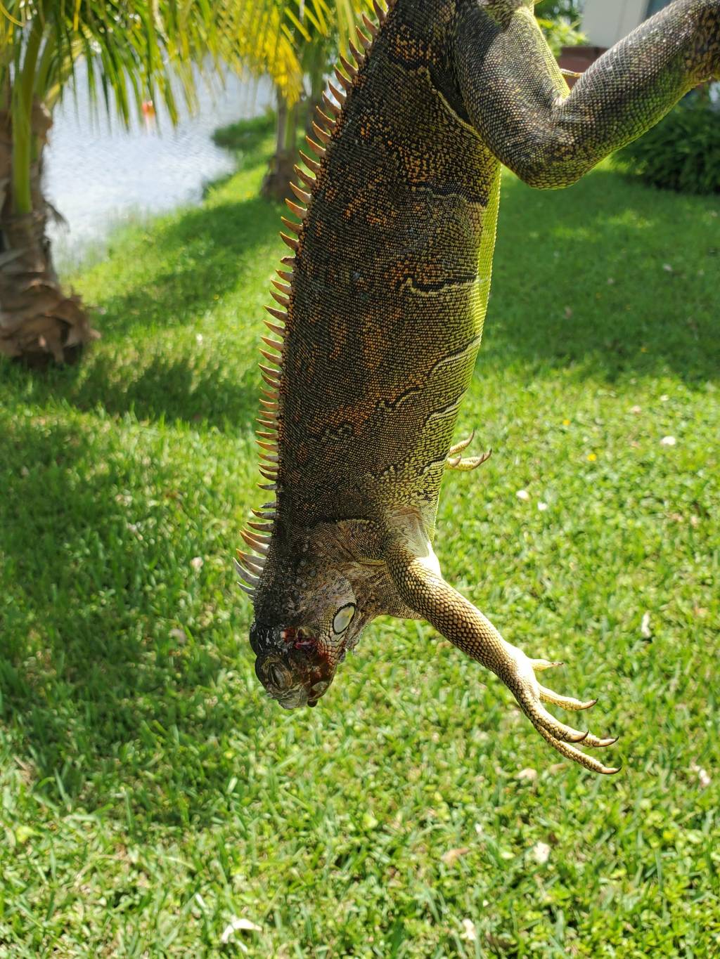 1597265775_2960063195f34576f1c9578.13662527.jpg