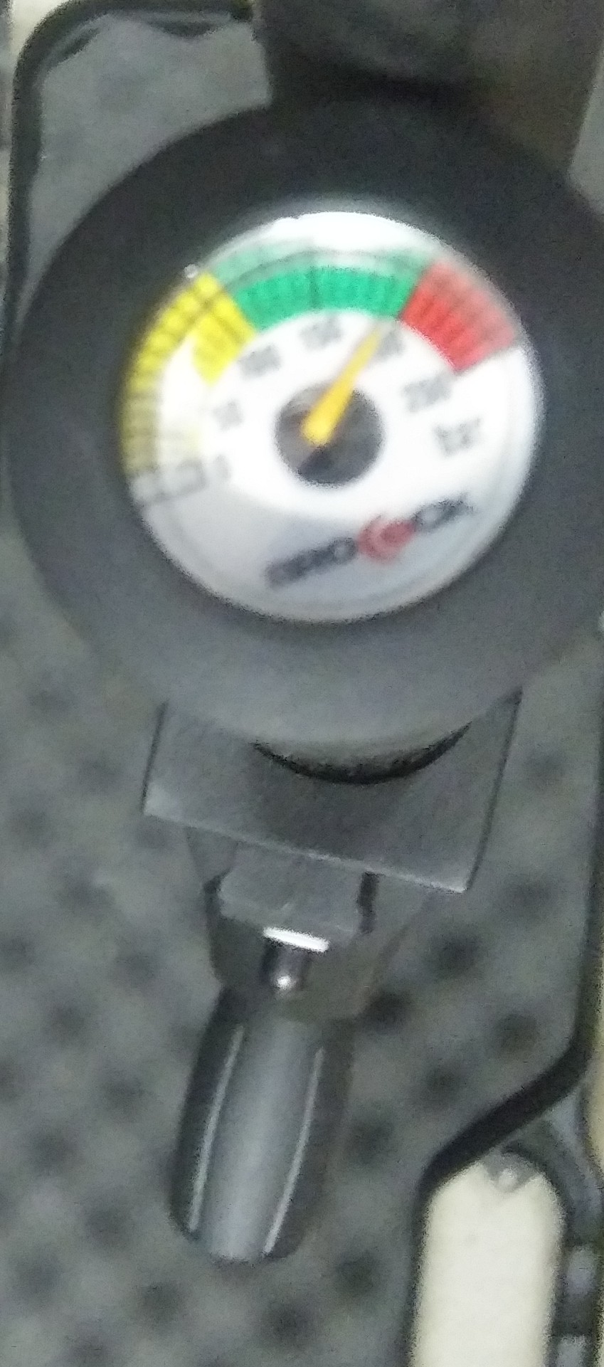 1597461572_3375066955f375444454369.10247761.jpg
