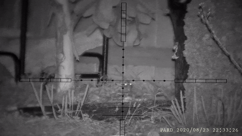 1598319894_3828537235f446d164aede5.00370346.gif