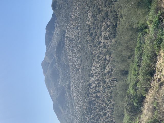 1598841992_5338551435f4c64887b48f5.00201945.jpeg