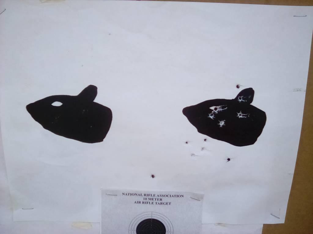 1600627451755-1740795046.1600627474.jpg