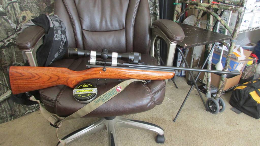 160pellgun17.1622230453.JPG