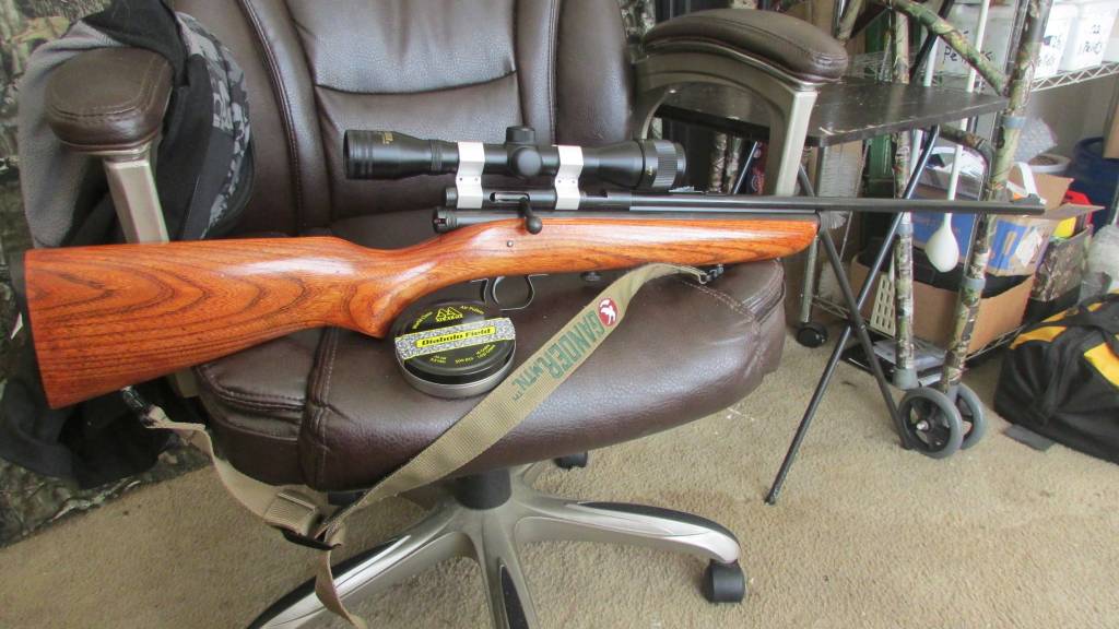160pellgun19.1623438583.JPG