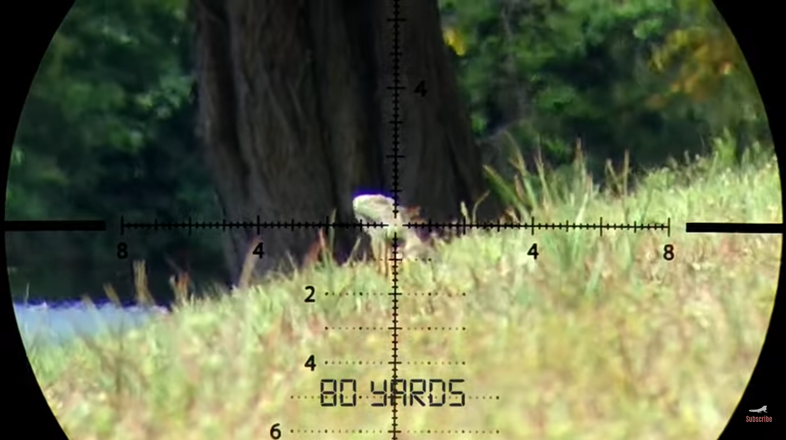 1662604915607.png