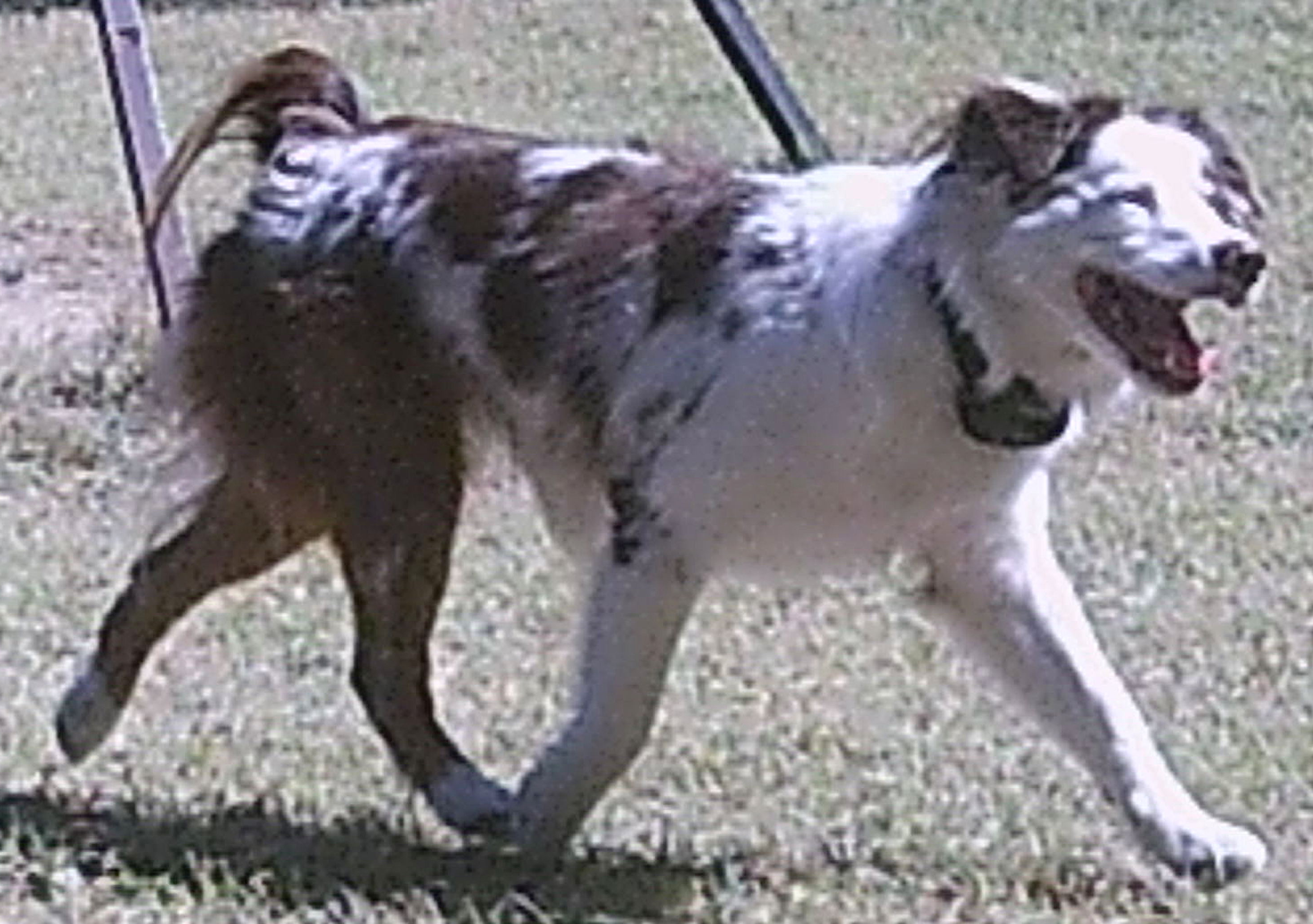 Inline image