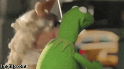 1665244519460.gif