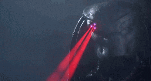 1669776966804.gif