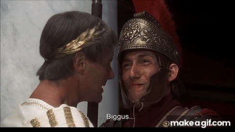 1672691496919.gif