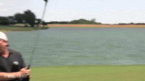 1679185555320.gif