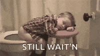 1683644629448.gif