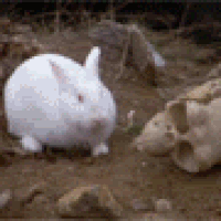1691435292258.gif