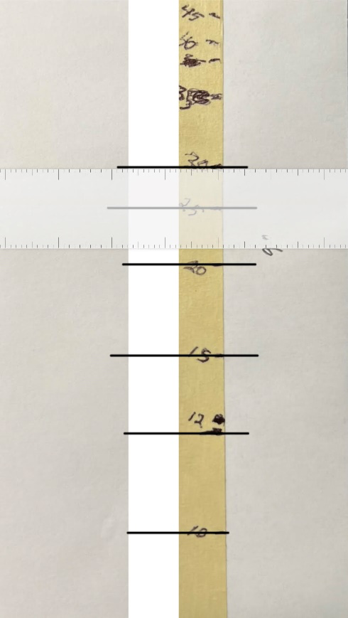 1696208506487.png