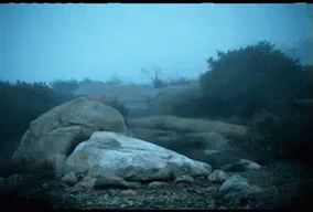 1699098136838.gif