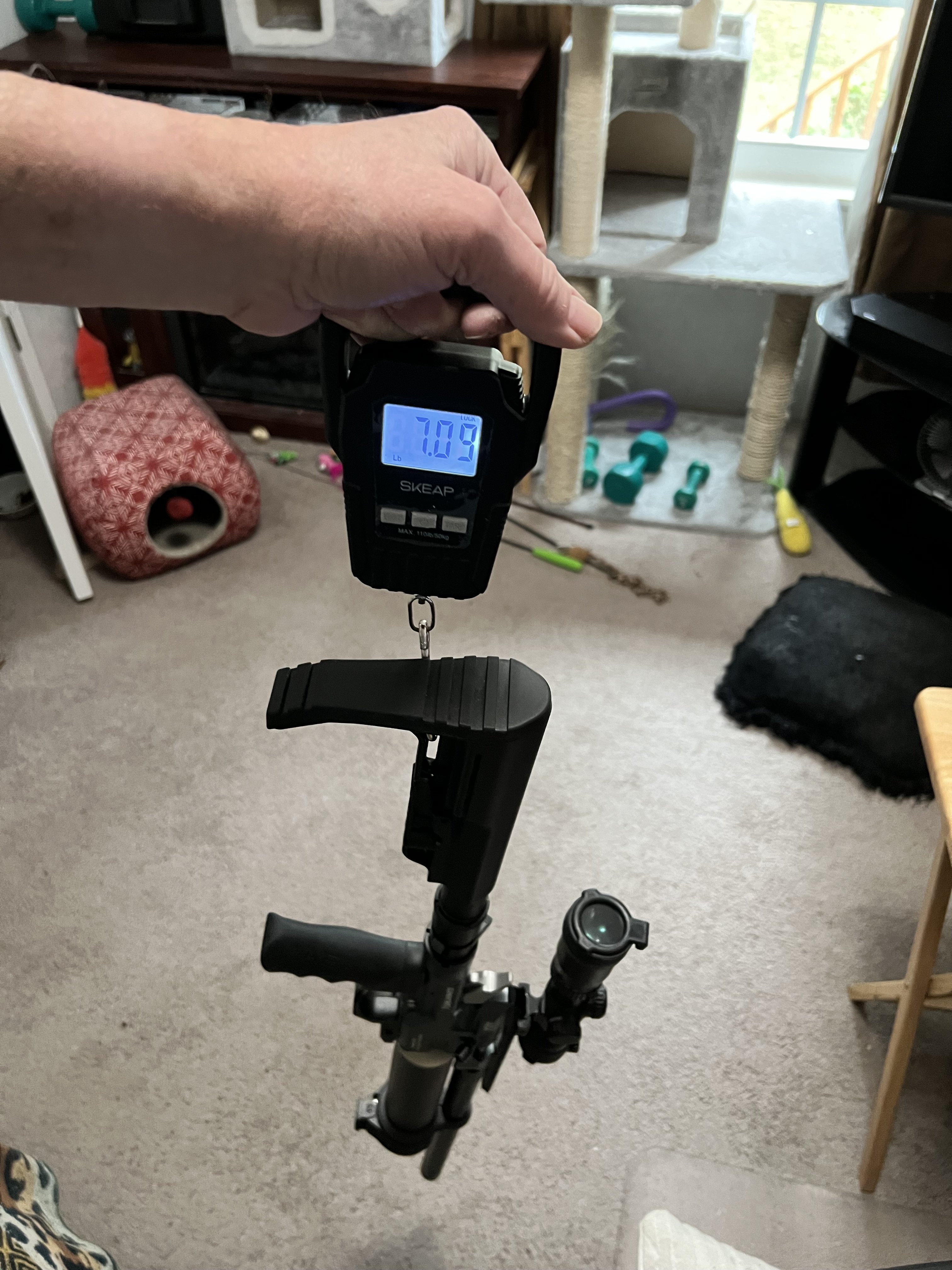 1710241218012.jpeg