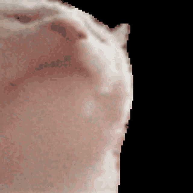 1710782843839.gif