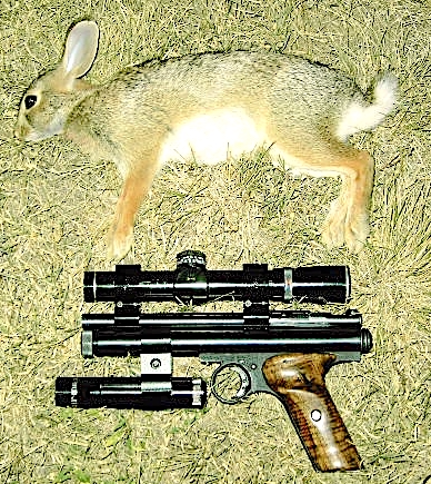 1719858012705.png